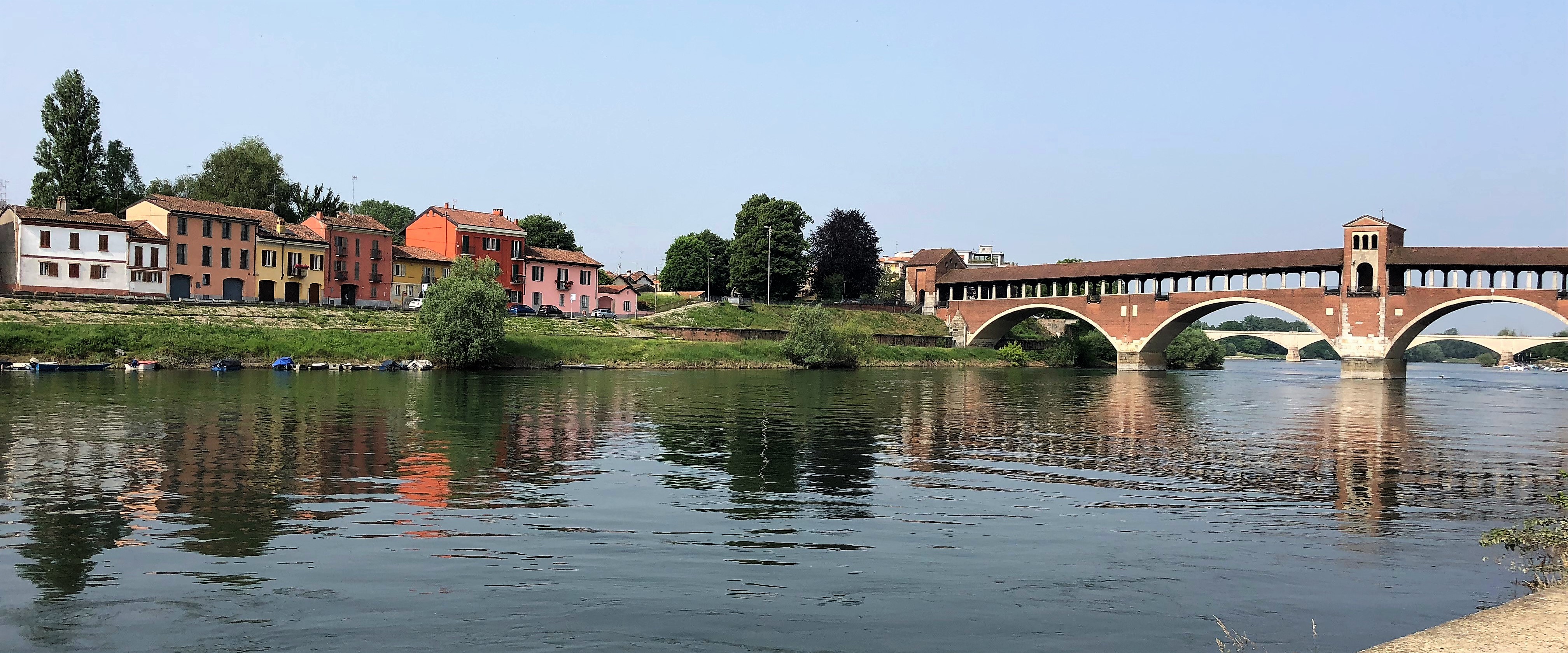 Pavia