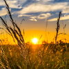 summer sunset from Wikimedia images